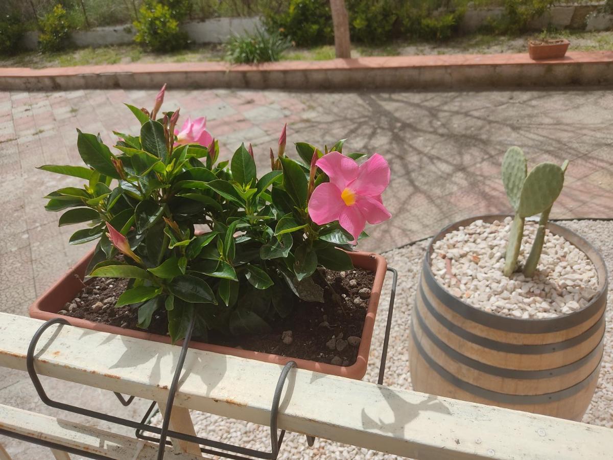 كوراتو B&B Lara Santola المظهر الخارجي الصورة
